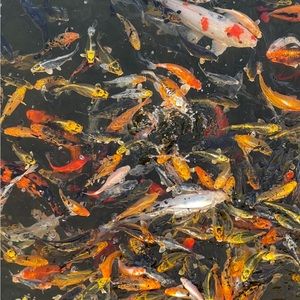 Meet your Posher, Daniel